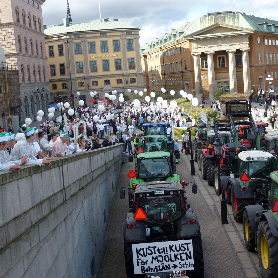 ”Kust till kust för mjölken”. Mjölkbönder demonstrerar på Mynttorget, Stockholm. Foto: Nya Tider