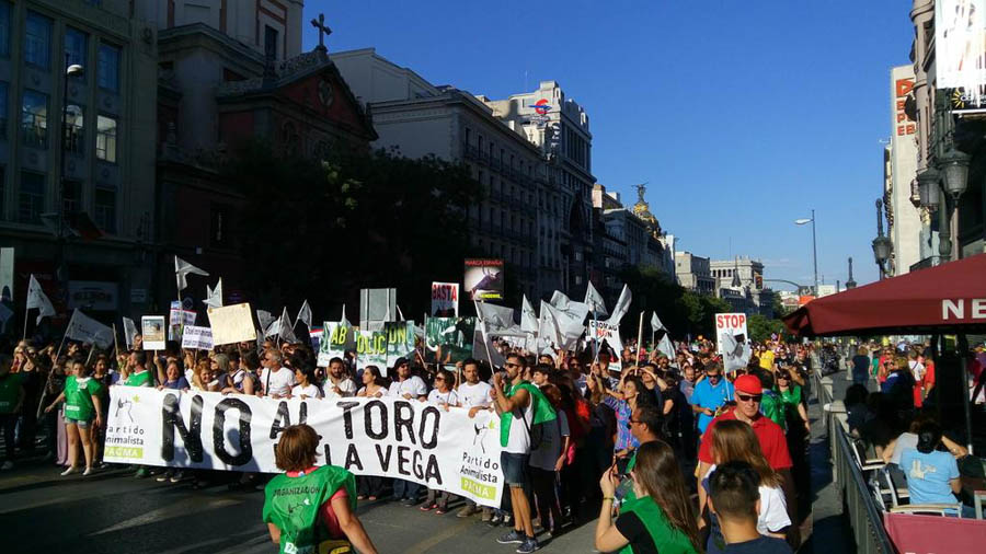 Demonstration mot tjurfäktningar med cirka 100 000 deltagare i Madrid den 12 september 2015. Foto: PACMA