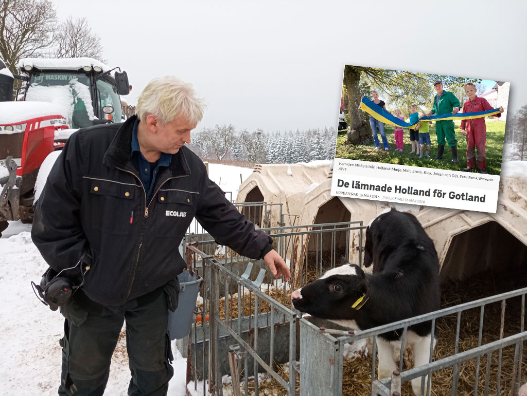 Claes Jonsson, ordförande för Sveriges Mjölkbönder, menar att Arlas egna kontroller gått överstyr och blivit en stor stressfaktor för många av de egna medlemmarna. De flesta vågar heller inte säga något därför att de är beroende av Arla för att kunna sälja sin mjölk. Foto: Nya Tider