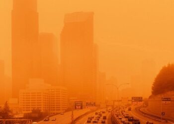 Dystopi med mordiska hushållsrobotar